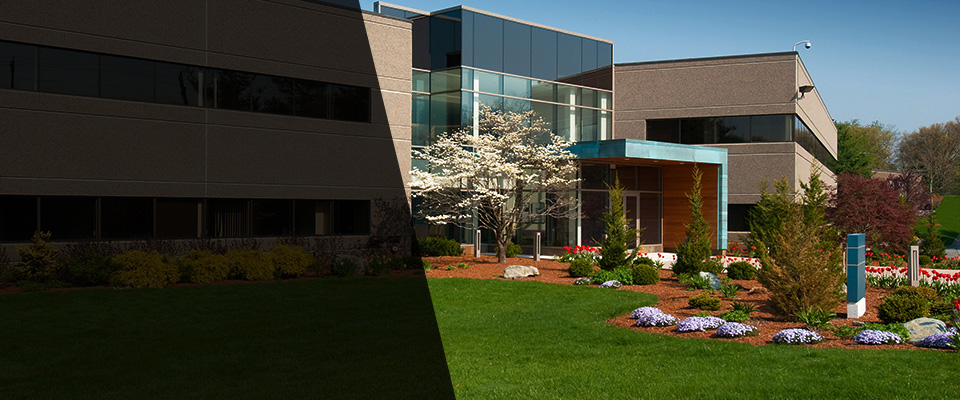 Lewisville Landscapers