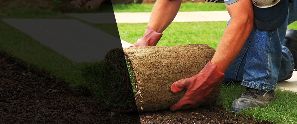 Lewisville Landscapers